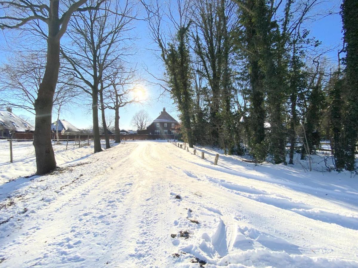 Pipowagen Het Oventje Vila Zeeland Exterior foto